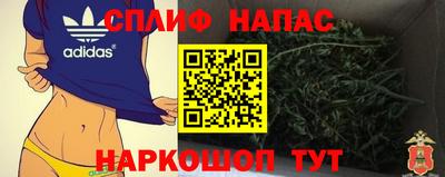 наркотики Кингисепп