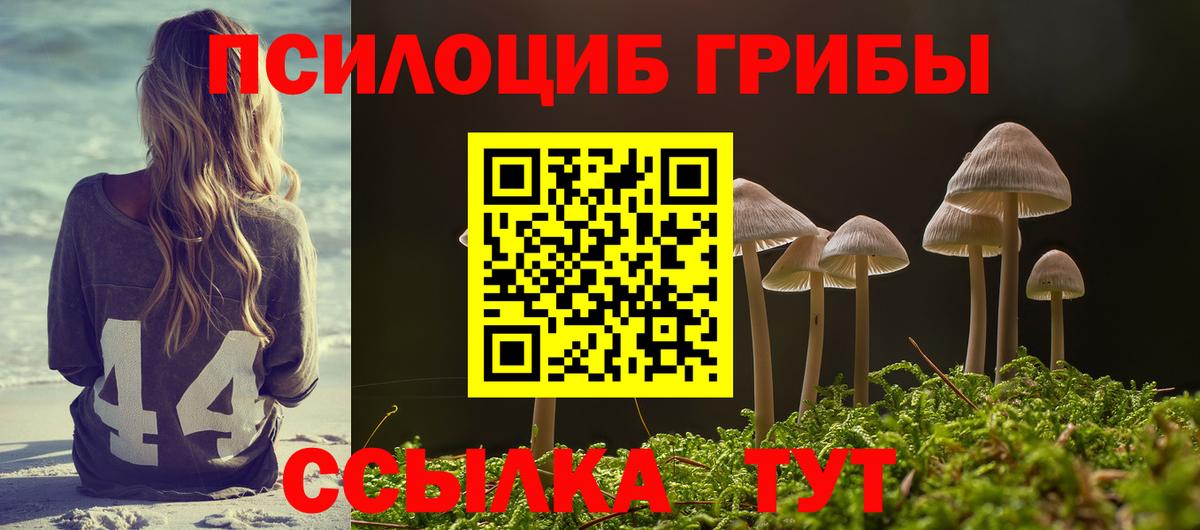 Кстово  Галлюциногенные грибы Cubensis  Вход с VPN 